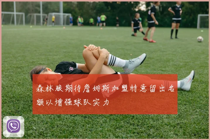 森林狼期待詹姆斯加盟特意留出名额以增强球队实力
